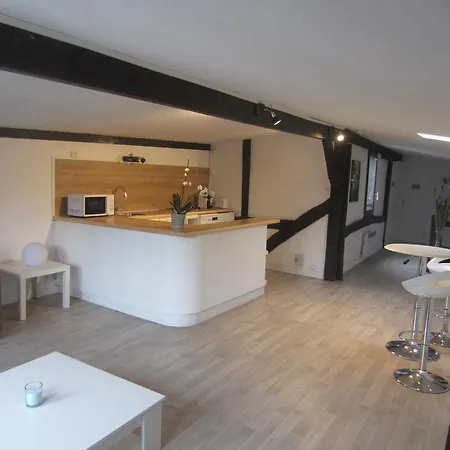 Du Gros Horloge Apartamento *